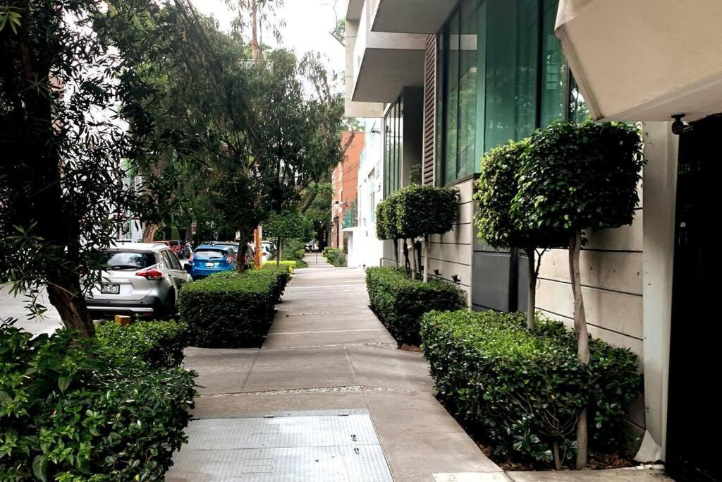 Heart Of The City, * Cidade do México